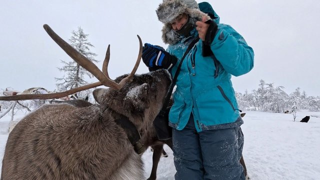 Почему страшно говорить "нет" без "потому что"?